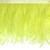 Kód: 39055 Strucctoll rojt 17-19 cm hosszú - SIRIO #61